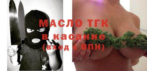 амф Верхний Тагил