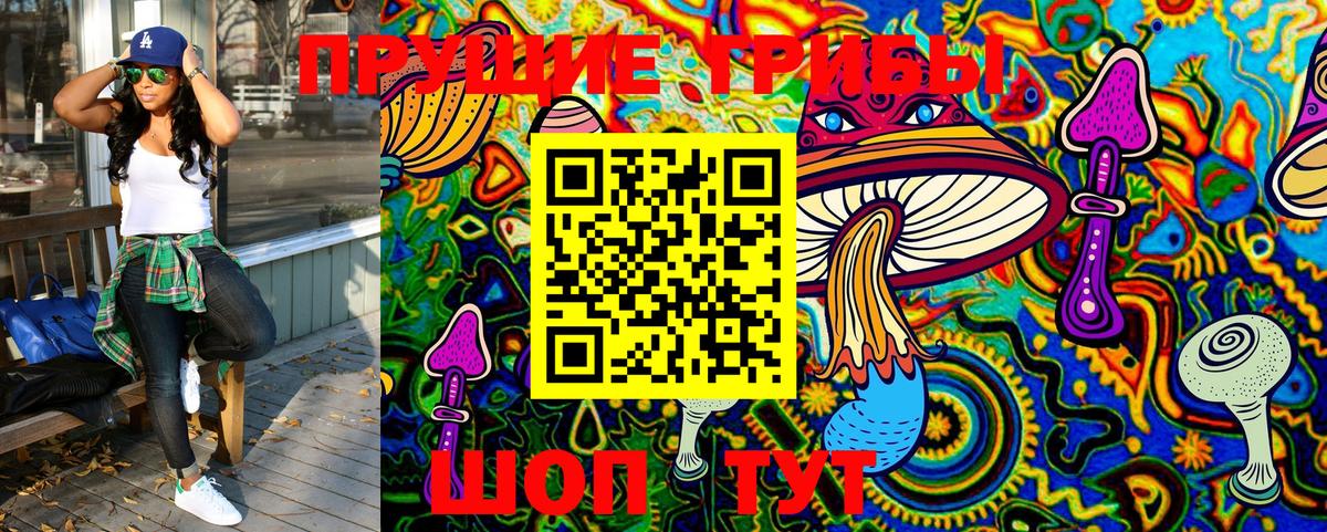Северобайкальск  Псилоцибиновые грибы Psilocybe  Вход с VPN 