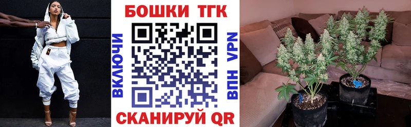 Бошки Шишки индика  как найти закладки  Северобайкальск 